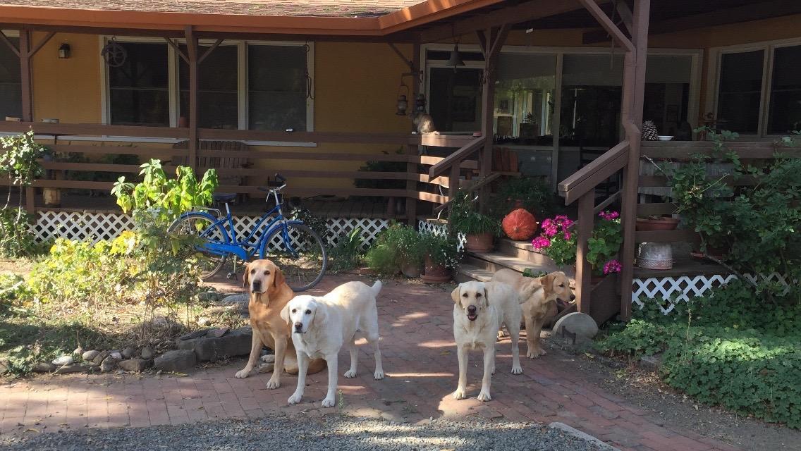 Rustridge Ranch & Winery Bed & Breakfast St. Helena Eksteriør bilde