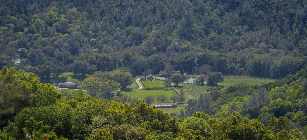 Rustridge Ranch & Winery Bed & Breakfast St. Helena Eksteriør bilde