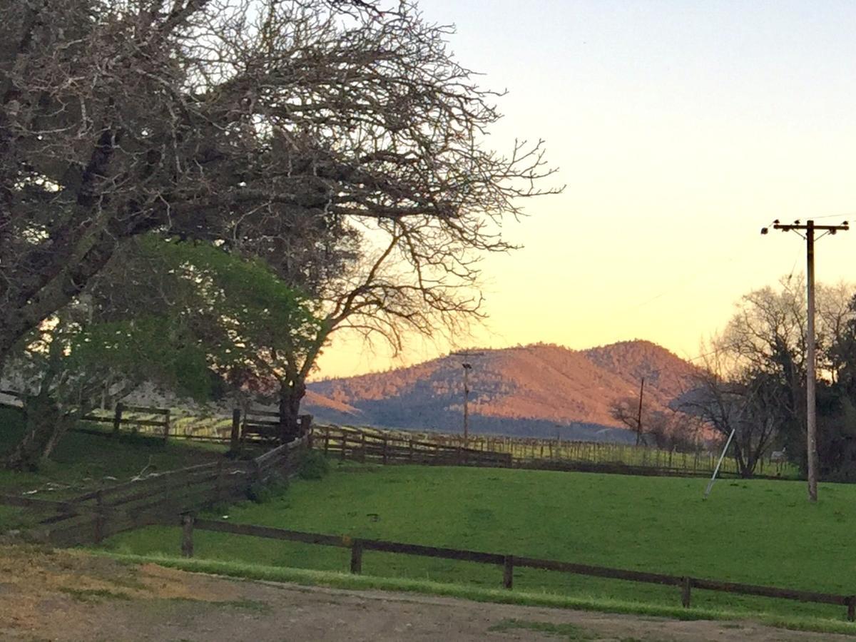 Rustridge Ranch & Winery Bed & Breakfast St. Helena Eksteriør bilde
