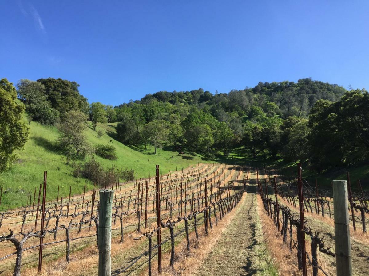 Rustridge Ranch & Winery Bed & Breakfast St. Helena Eksteriør bilde