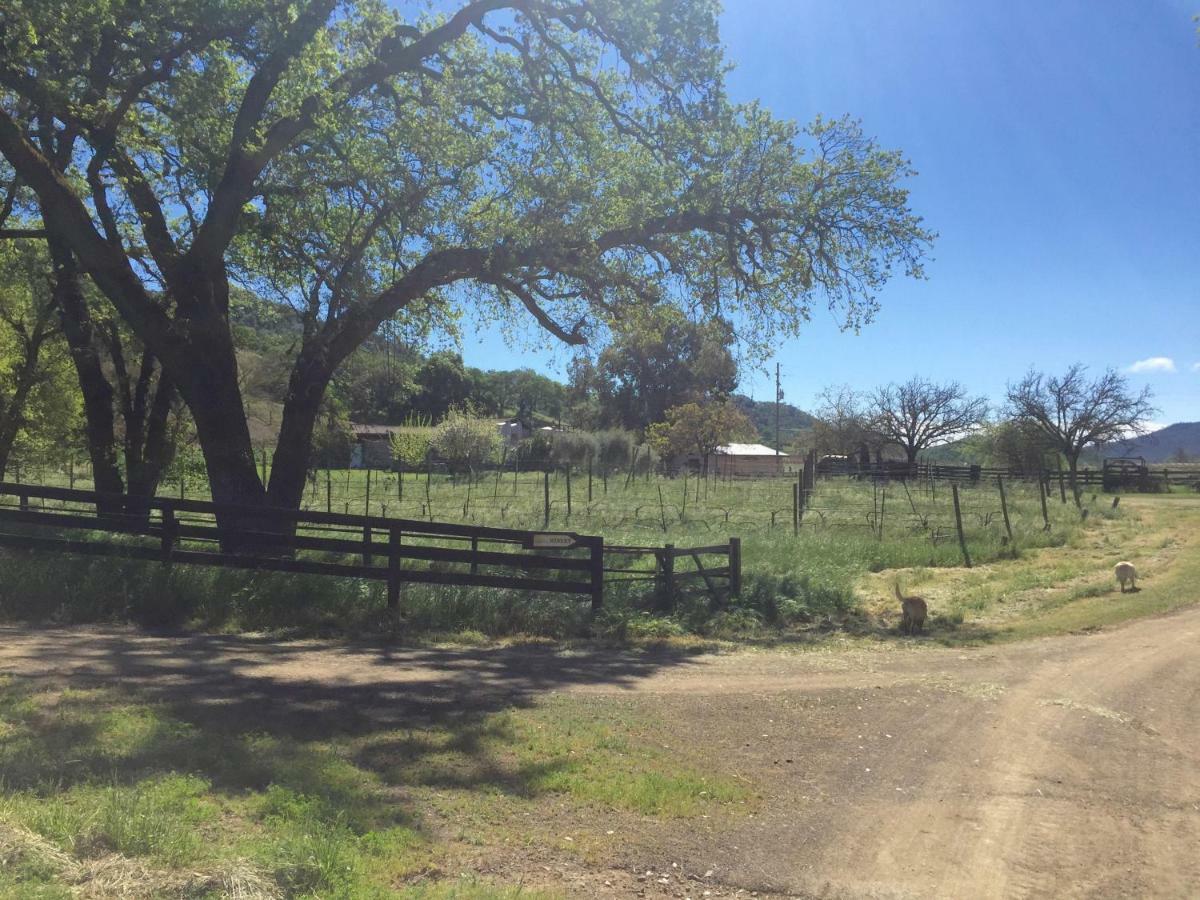 Rustridge Ranch & Winery Bed & Breakfast St. Helena Eksteriør bilde