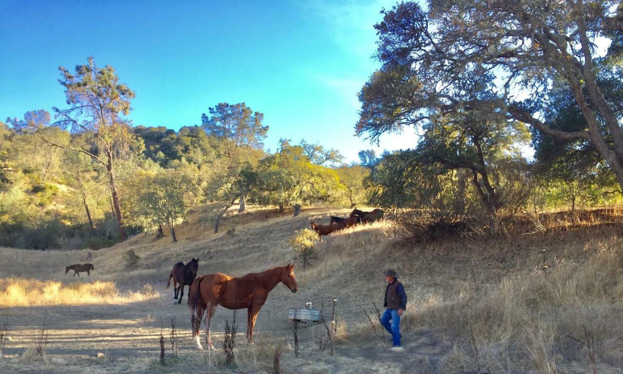 Rustridge Ranch & Winery Bed & Breakfast St. Helena Eksteriør bilde