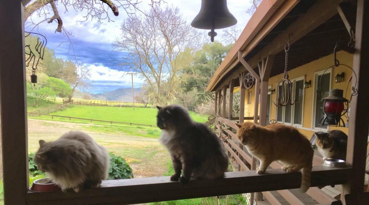 Rustridge Ranch & Winery Bed & Breakfast St. Helena Eksteriør bilde