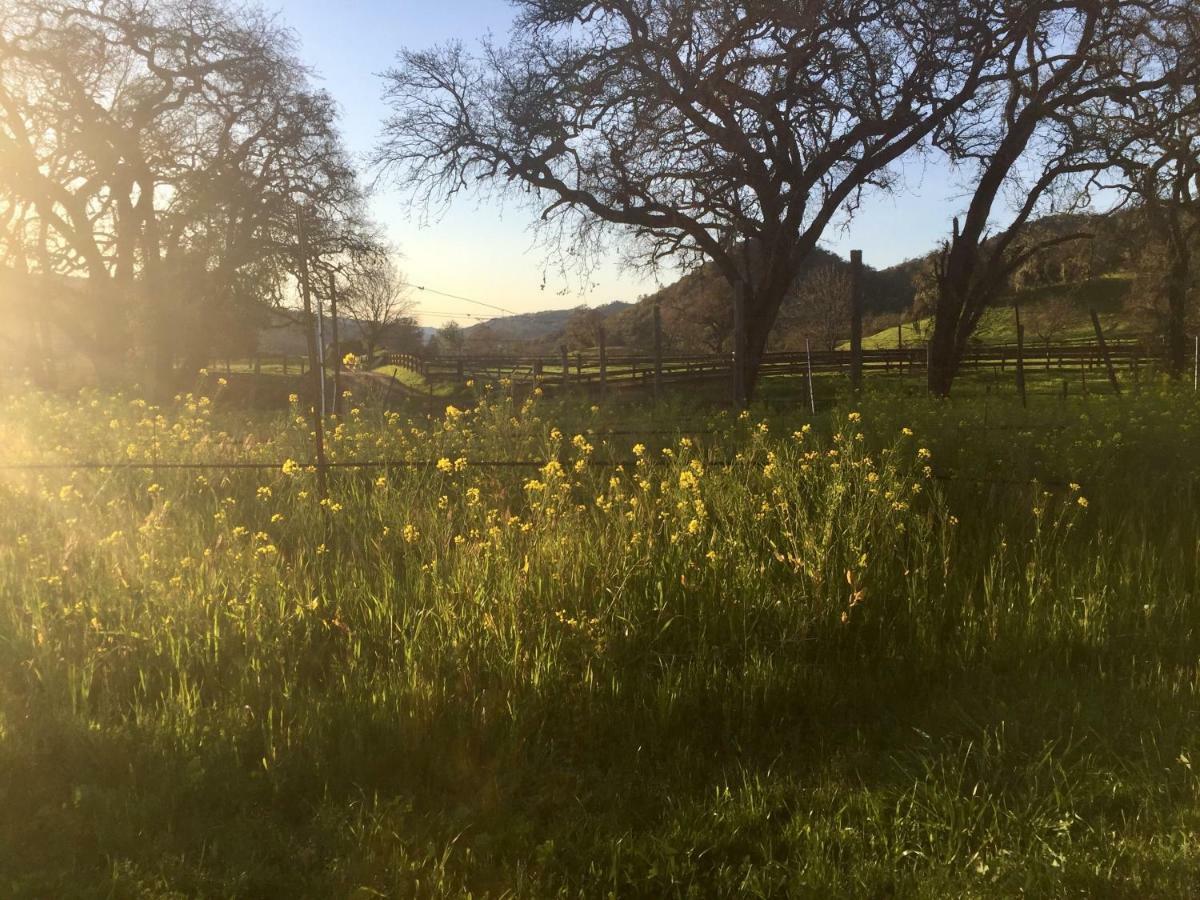 Rustridge Ranch & Winery Bed & Breakfast St. Helena Eksteriør bilde