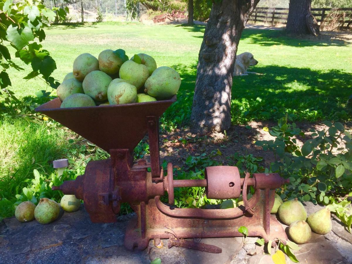 Rustridge Ranch & Winery Bed & Breakfast St. Helena Eksteriør bilde