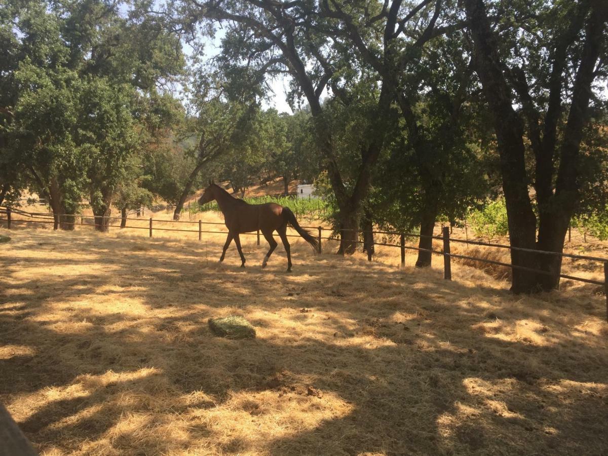 Rustridge Ranch & Winery Bed & Breakfast St. Helena Eksteriør bilde